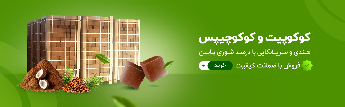 کوکوپیت و کوکوچیپس