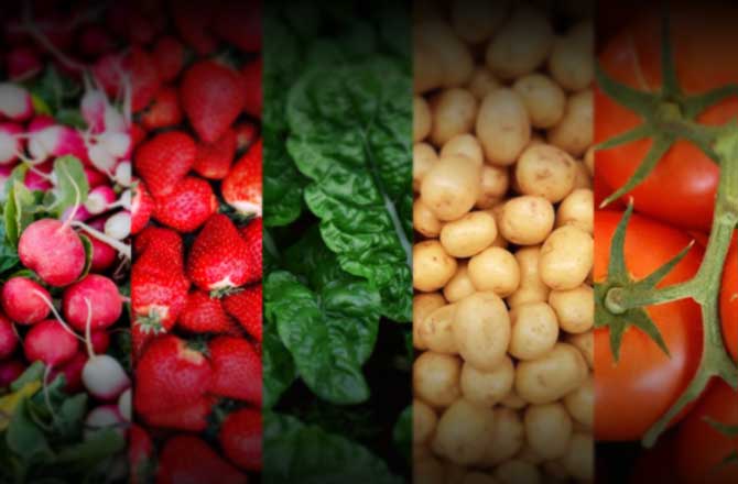 پرورش محصولات گلخانه برای مبتدیان