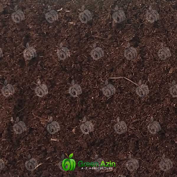 پیت ماس لیتوانی سالویکا