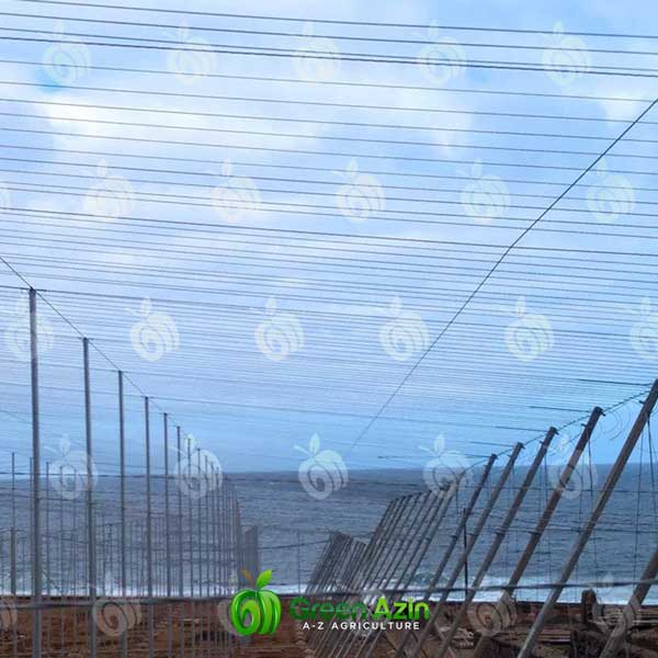 سیم پلی استر گلخانه آگروپت