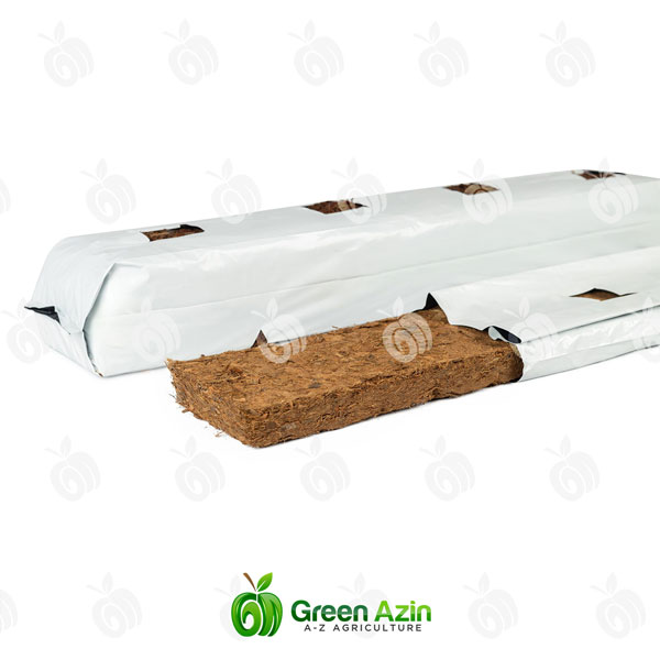 گروبگ آماده وارداتی صیفی جات